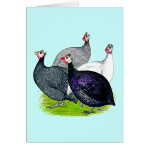 Cuatro Guineas