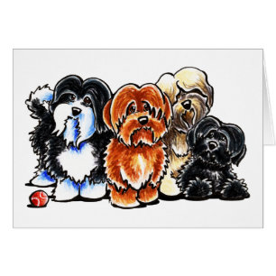 Cuatro Havanese