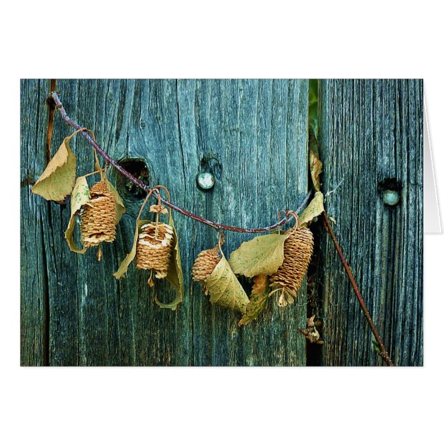 Cuatro hermanas (Anverso (Horizontal))