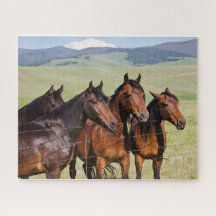 Cuatro hermosos rompecabezas de caballos