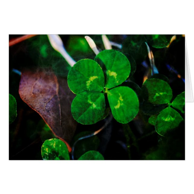 Cuatro Leaf Clover Lucky (Anverso (Horizontal))