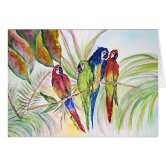 Cuatro loros que se sientan en un árbol .......