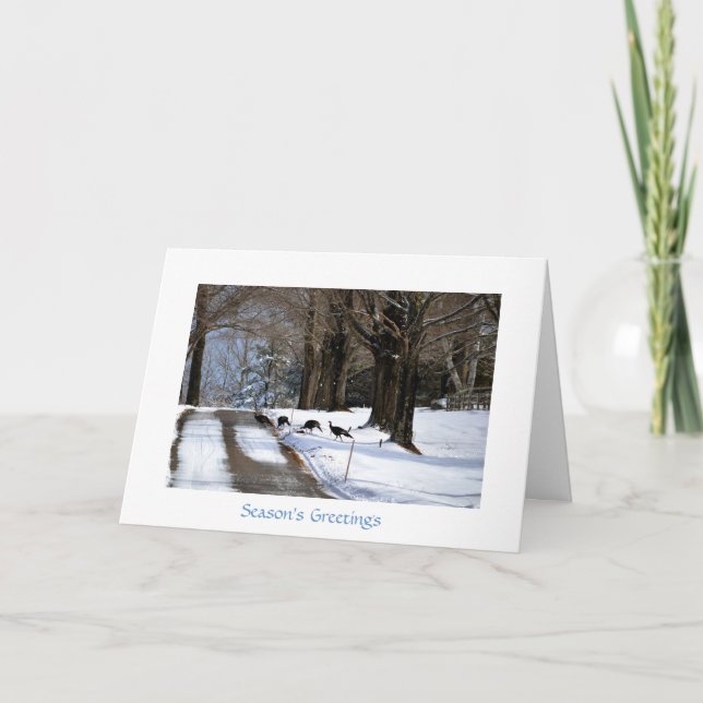 Cuatro pavos salvajes - tarjeta del día de fiesta (Anverso)