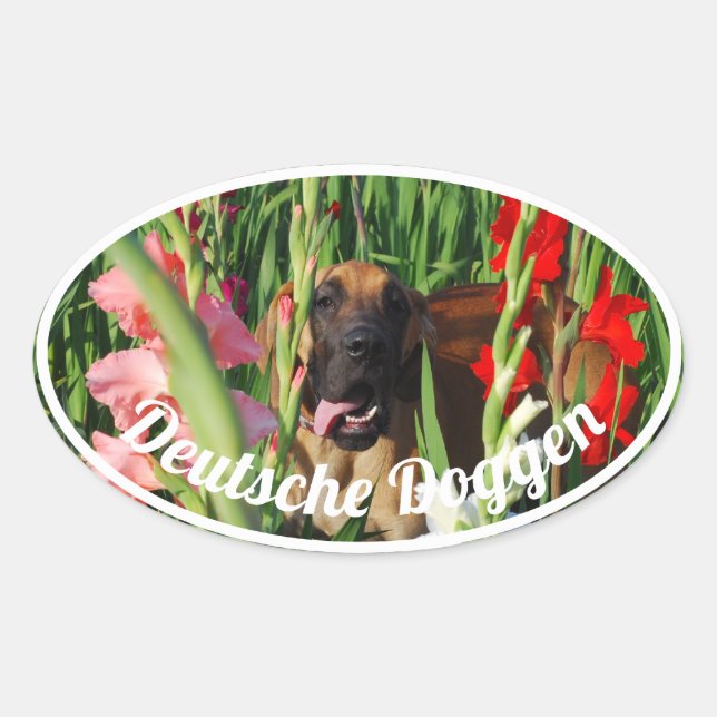 Cuatro pegatinas de dogo (Anverso)