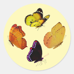 Cuatro Pegatinas de mariposas