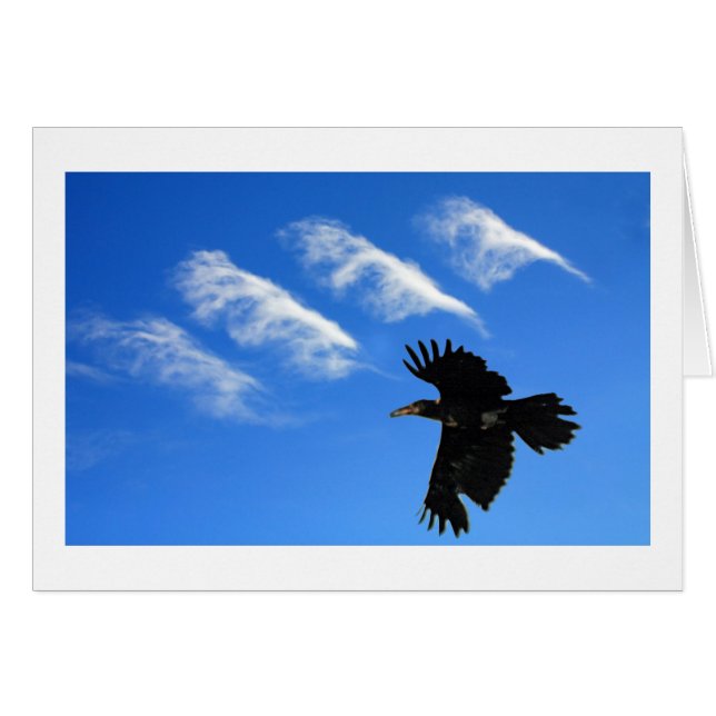 Cuatro plumas (Anverso (Horizontal))