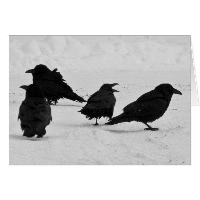 Cuatro Ravens (Anverso (Horizontal))