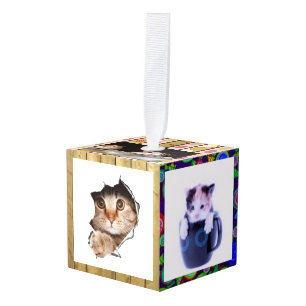 Cúbico Adorno de Cubo "Cat-A-Tonic"