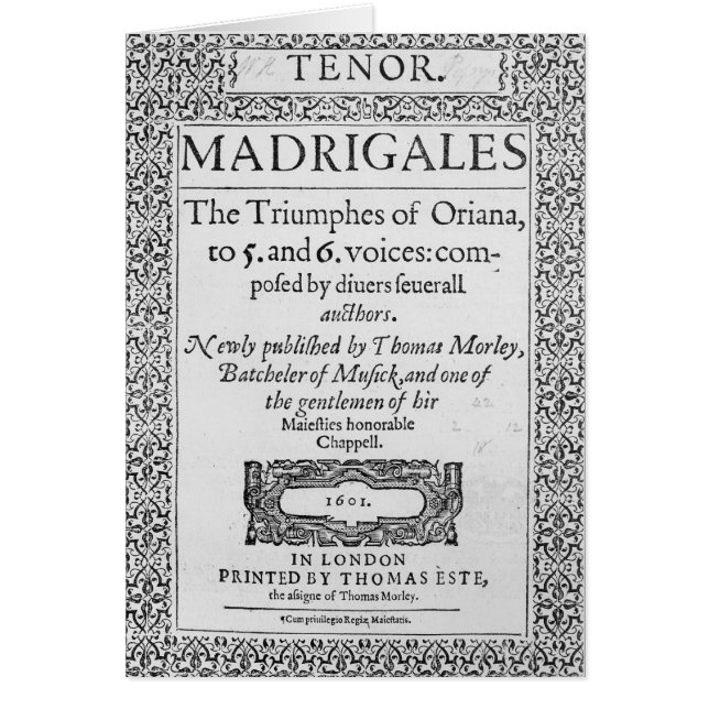 Cubierta a la pieza del tenor (Frente)