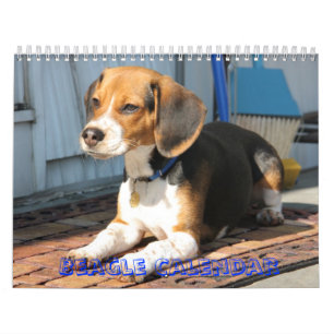 cubierta, calendario del beagle