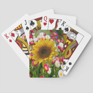 Cubierta de cartas de reproducción de girasol