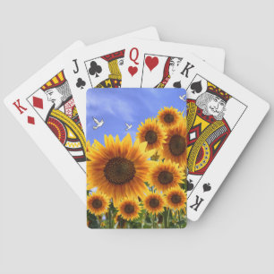 Cubierta de cartas de reproducción de girasol