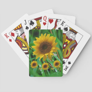 Cubierta de cartas de reproducción de girasol