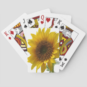 Cubierta de cartas de reproducción de girasol
