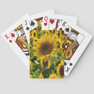 Cubierta de cartas de reproducción de girasol
