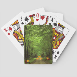 Cubierta de cartas de reproducción de Racoon