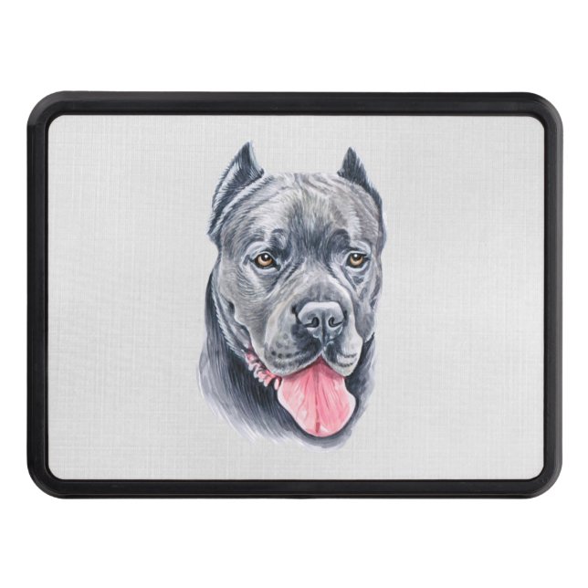 Cubierta de corso de cane (Anverso)