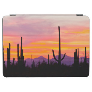 Cubierta De iPad Air Bosque de Cactus Saguaro al atardecer