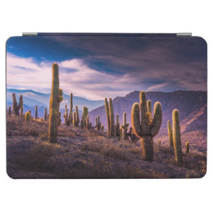 Cubierta De iPad Air Desiertos   Paisaje Cactus Argentina