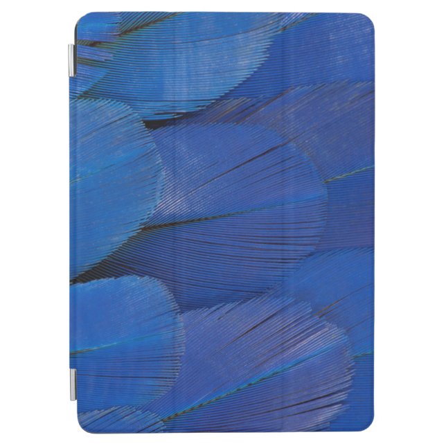 Cubierta De iPad Air Diseño azul de la pluma del Macaw del jacinto (Anverso)