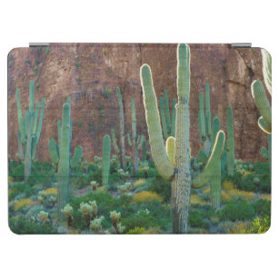 Cubierta De iPad Air EE.UU., Arizona. Campo Cactus Saguaro Por Un Acant