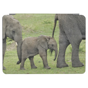 Cubierta De iPad Air Elefante africano femenino con el bebé, Loxodonta