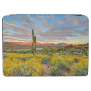 Cubierta De iPad Air Sunset en el paisaje del desierto