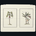 Cubierta De iPad Dos palmeras enmarcadas miniatura<br><div class="desc">Dos impresiones enmarcadas miniatura de palmeras. Simple y sutil,  este pedazo no distraerá de la fascinación de un cuarto. ¡Haría un gran regalo para sí mismo o amado!</div>