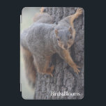 Cubierta De iPad Mini Ardilla que se aferra<br><div class="desc">Ardilla que se aferra encendido en un árbol. La foto sometió por pájaros y florece lector. Los pájaros y las floraciones son el pájaro #1 y la revista del jardín en Norteamérica. Nos enorgullecemos en la celebración de la "belleza en su propio patio trasero" cubierta una amplia gama de temas...</div>