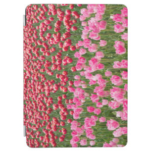 Cubierta De iPad Air EE.UU., Washington. Campo De Tulipanes Multicolore