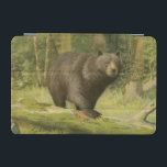 Cubierta De iPad Mini El oso negro pisando un tronco de árbol<br><div class="desc">Esta fina huella de arte de Oliver Kemp ilustra un oso pardo pisando un árbol caído en un bosque. Los colores verde pastel son relajantes para la vista y crean una agradable sensación de calor de la naturaleza que despierta en primavera. ¡Una gran adición a cualquier decoración rústica!</div>
