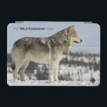 Cubierta De iPad Mini Invierno - Lobo<br><div class="desc">Foto de: Justin Maguire. Tundra wolf busca presas. Ubicación: Kuujjuarapik,  Quebec</div>