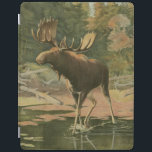 Cubierta De iPad Moose caminando en el agua<br><div class="desc">¿Vives lejos de la naturaleza? Esta hermosa imagen clásica da una impresión de tranquilidad y los colores del alce caminando en el agua son precisos,  lo que hace que esta imagen sea muy realista. Obtén este arte de estilo natural en tus productos favoritos.</div>