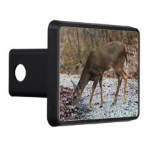 Cubierta de la boca del remolque de ciervo con col