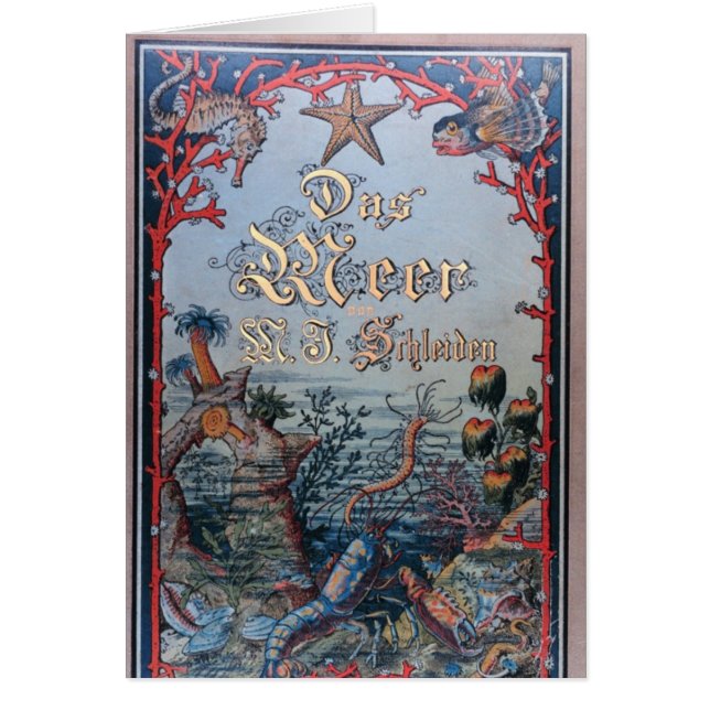 Cubierta de libro náutica del victorian del (Frente)