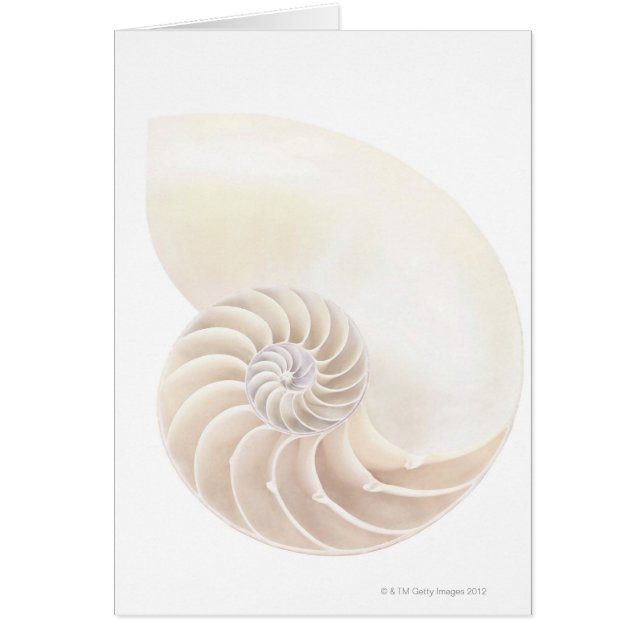 Cubierta de Nautilus, cierre (Frente)