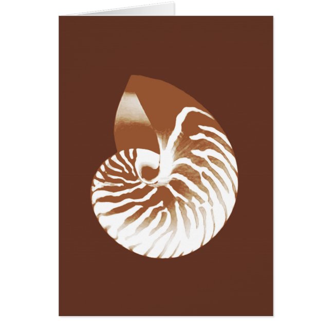 Cubierta de nautilus - marrón y blanco de cacao (Frente)