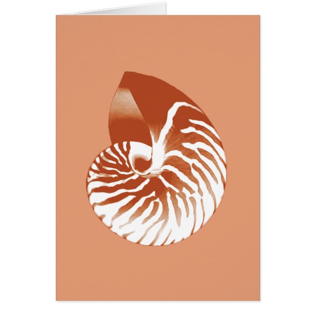 Cubierta de Nautilus - terracota y blanco (Frente)