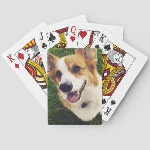 Cubierta del Corgi de naipes