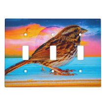 Sunset Melody