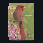 Cubierta Para iPad Mini Cardenal septentrional<br><div class="desc">Cardenal septentrional en floraciones rosadas. La foto sometió por pájaros y florece lector. Los pájaros y las floraciones son el pájaro #1 y la revista del jardín en Norteamérica. Nos enorgullecemos en la celebración de la "belleza en su propio patio trasero" cubierta una amplia gama de temas tales como observación...</div>