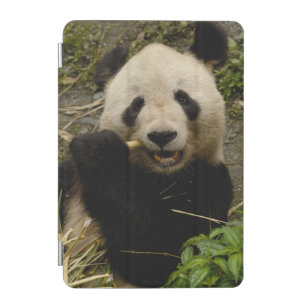 Cubierta Para iPad Mini Familia del melanoleuca del Ailuropoda de la panda