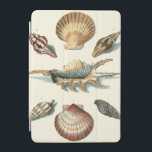 Cubierta Para iPad Mini Fancy Shell Beach<br><div class="desc">George Wolfgang Knorr es conocido por el delicado detalle y la precisión de sus ilustraciones de conchas y pez estrella. Sus dibujos estaban influidos por su propio interés en la ciencia,  un tema popular de su época.</div>