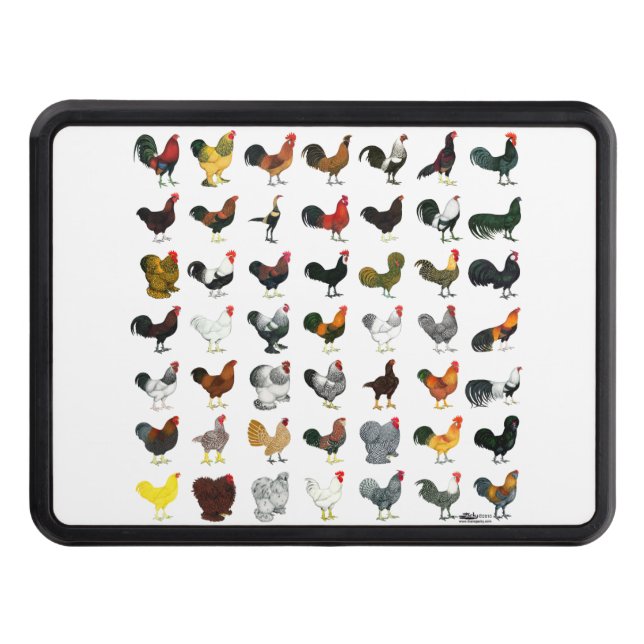 Cubierta Para Remolque 49 Galerías (Anverso)