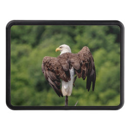 Cubierta Para Remolque Águila calva en una rama