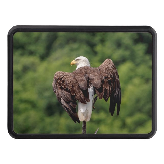 Cubierta Para Remolque Águila calva en una rama (Anverso)