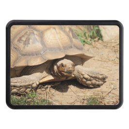 Cubierta Para Remolque Ala aldabra