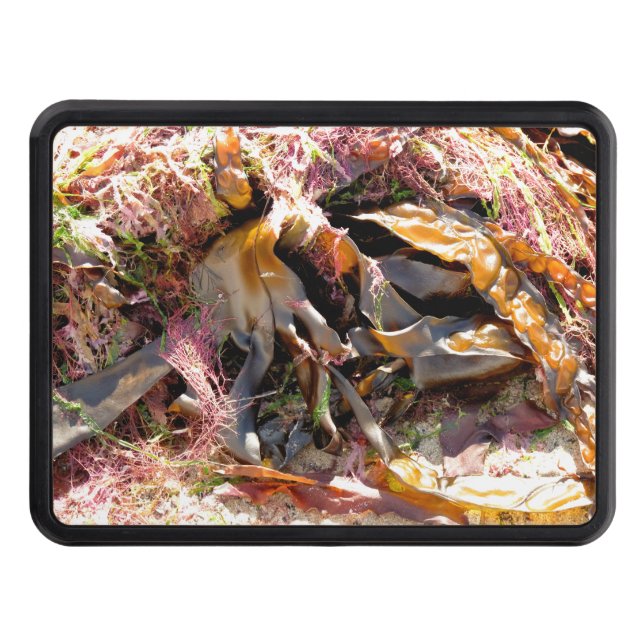 CUBIERTA PARA REMOLQUE ALIMENTACIÓN (Anverso)