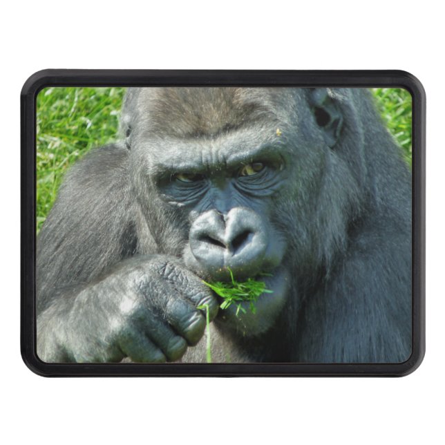 CUBIERTA PARA REMOLQUE ANIMALES SALVAJES - GORILLAS (Anverso)