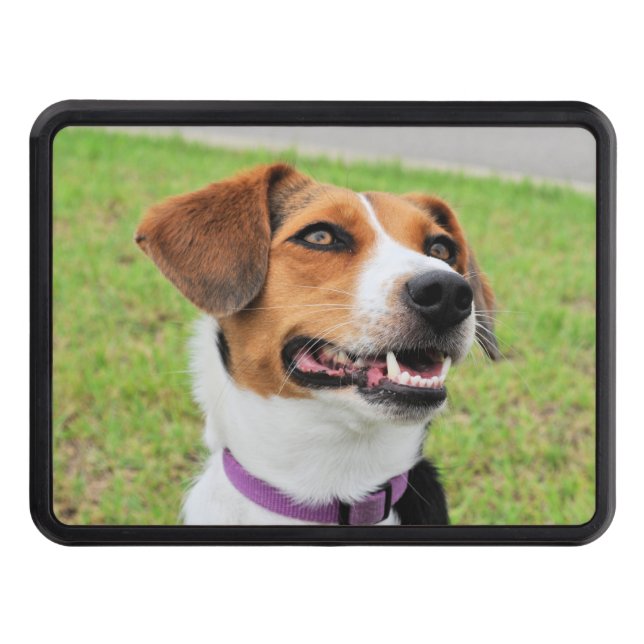 Cubierta Para Remolque Beagle (Anverso)